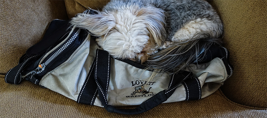 dog-wrestling-bag