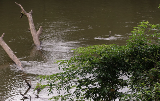 water-high-swirling