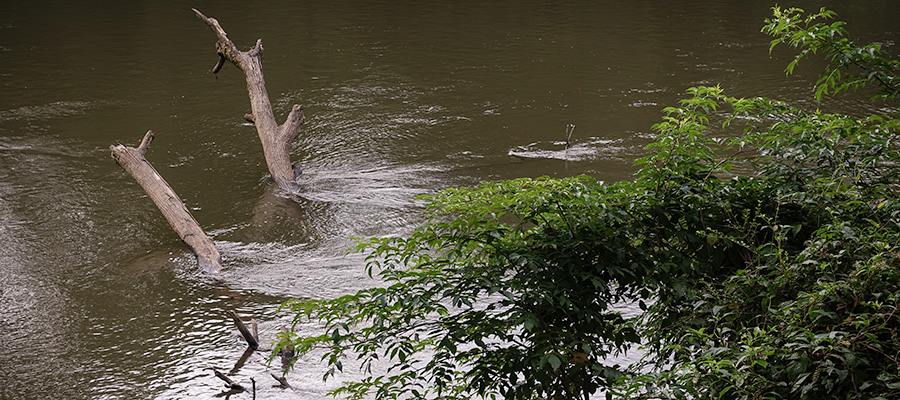 water-high-swirling