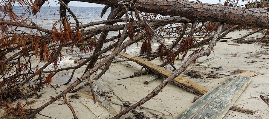 beach-debris