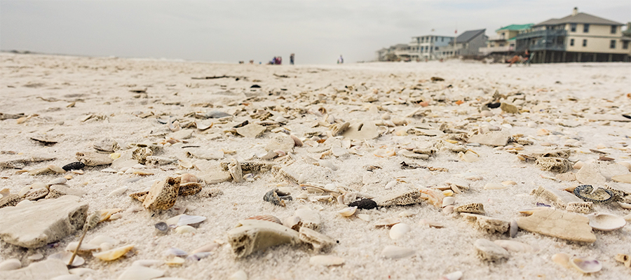 shells-beach