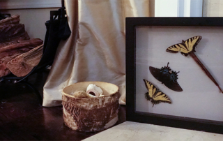 butterflies-framed