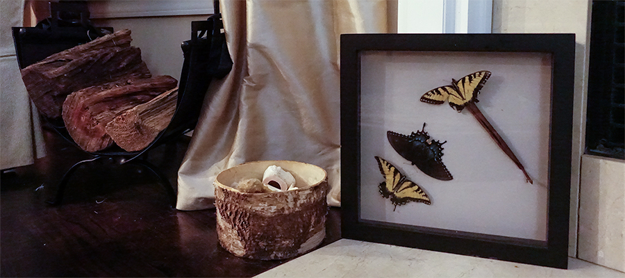 butterflies-framed