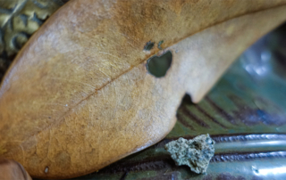 heart-stone-leaf
