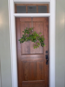 green-brown-door