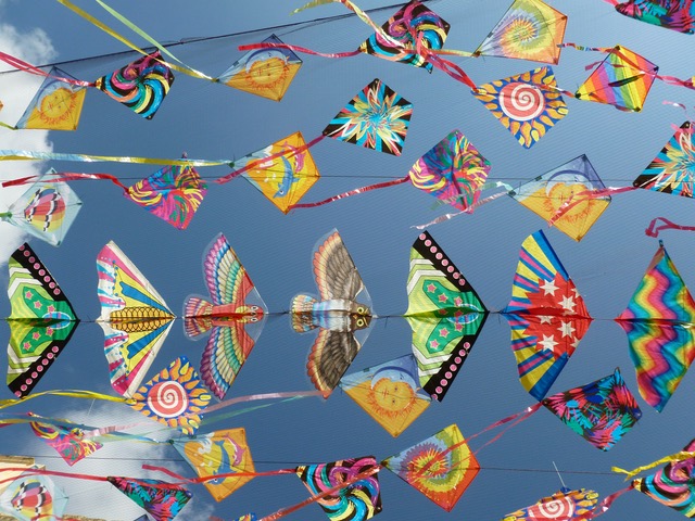 kites