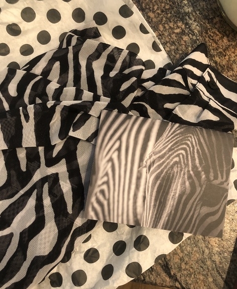 zebra