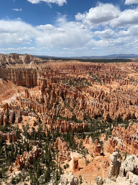 bryce