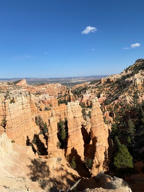 bryce