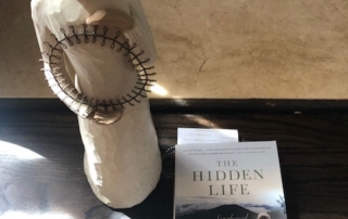 hidden-life