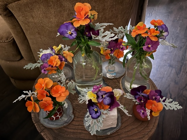 pansies