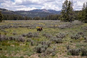 tetons