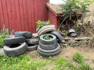 tires