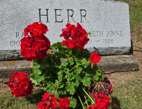 We Remember Our Own