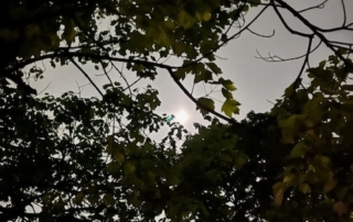 moon