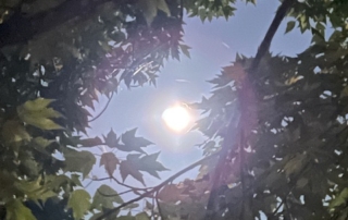 moon