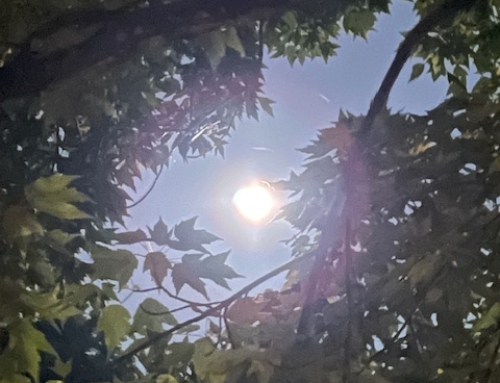 A Full Moon Fills Us