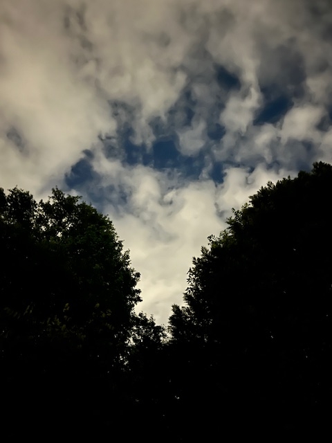 cloud cloud