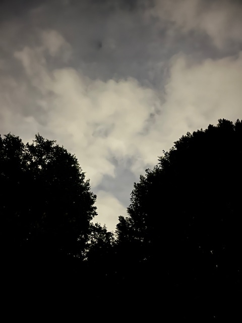 moon moon