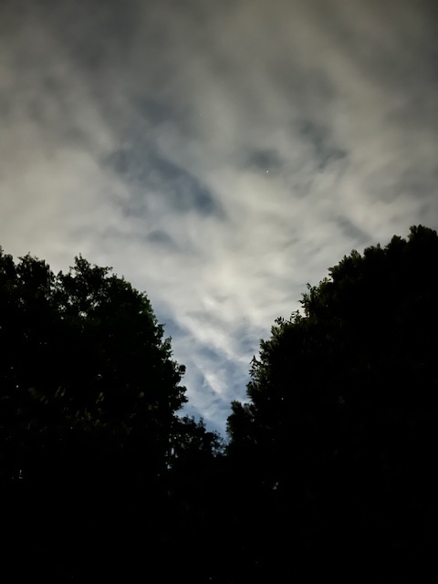 moon moon