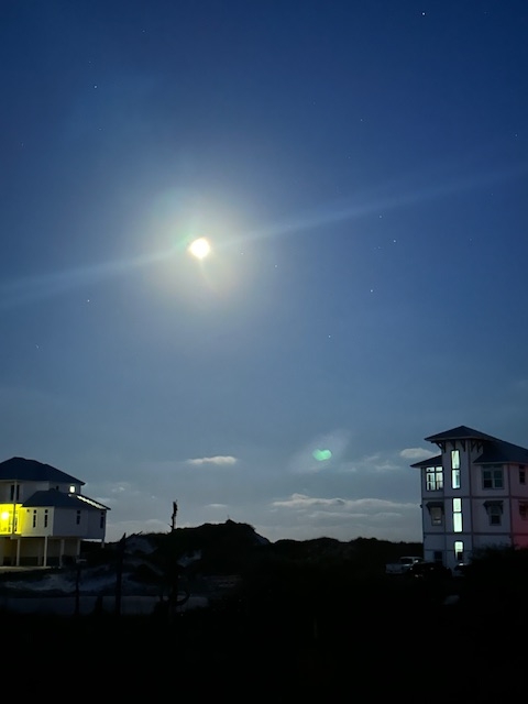 moon moon