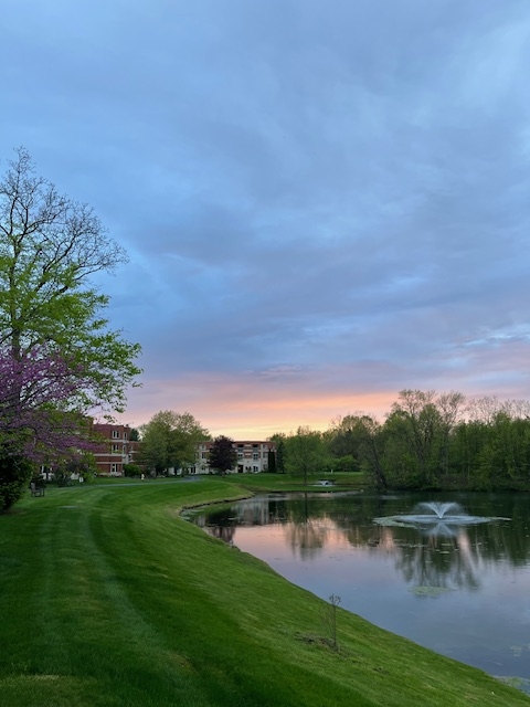 pond pond
