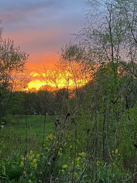 sunset sunset