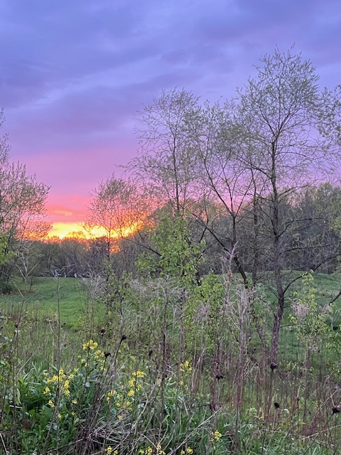 sunset sunset