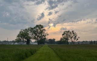 walk