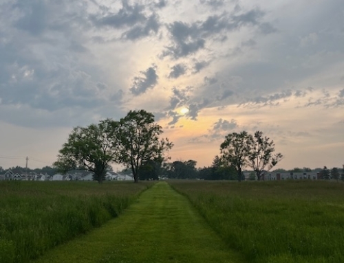 Audrey’s Prayer Walk