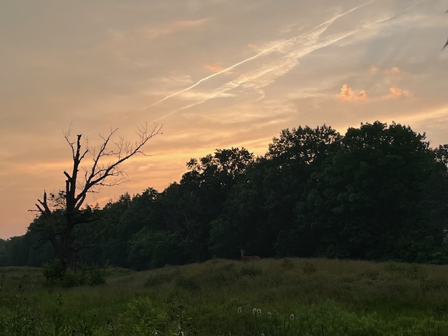 sky