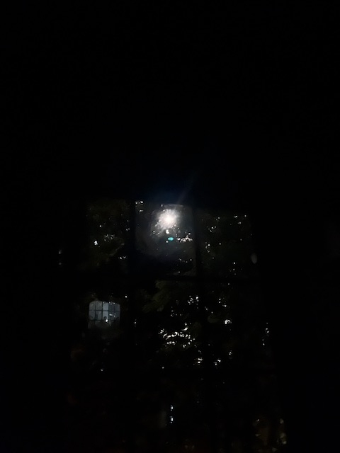 moon moon