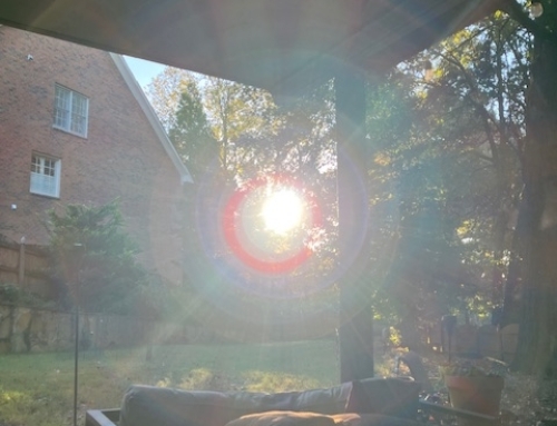 Grow From Our Center