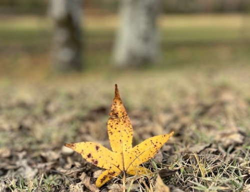 Stop Doing. Stand There.