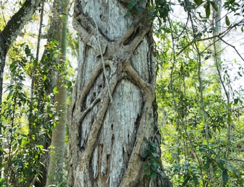 10yrs Blogging Daily