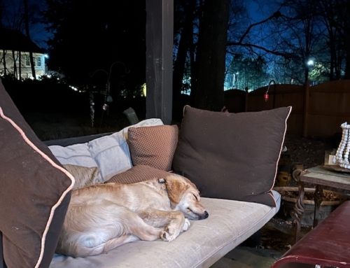 New Phases Of Growth