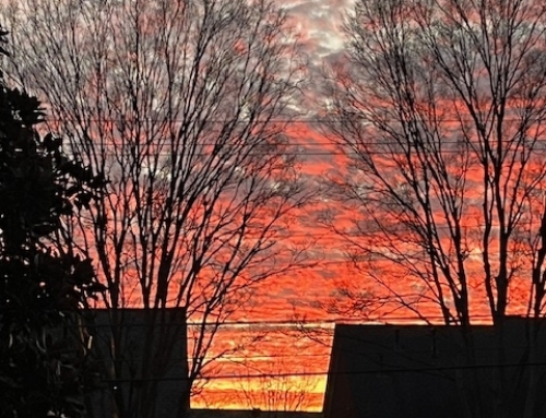 Catch Rachel’s Vision