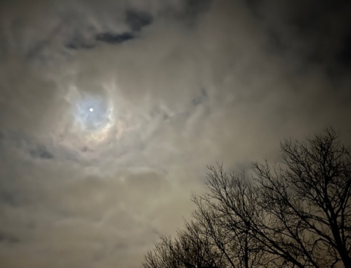 Fullness Fades. Remember.