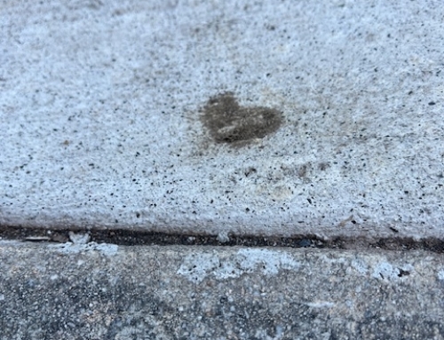 Our Welcome Bags Overflow