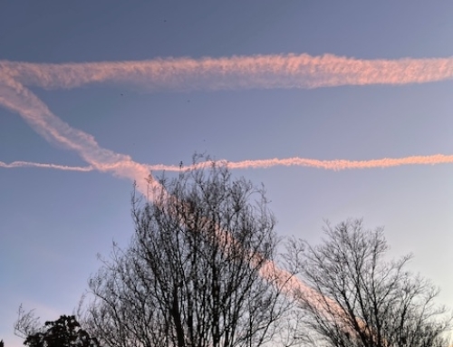 Little Eliza’s Cancer