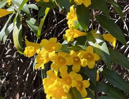 From Brutal To Butterflies