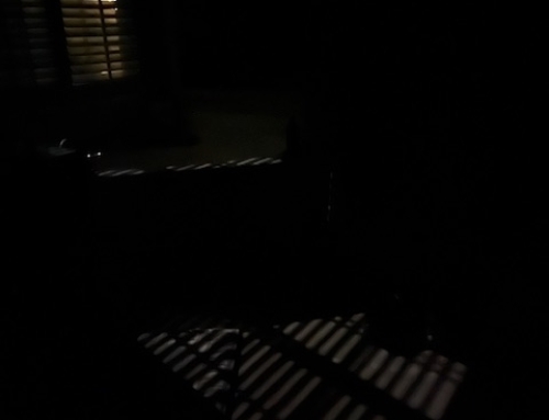 Life Incubates In Darkness