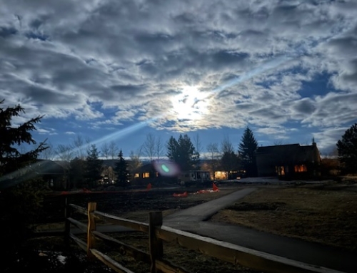 I Was So Disappointed