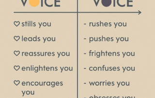 voice