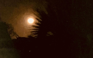 moon