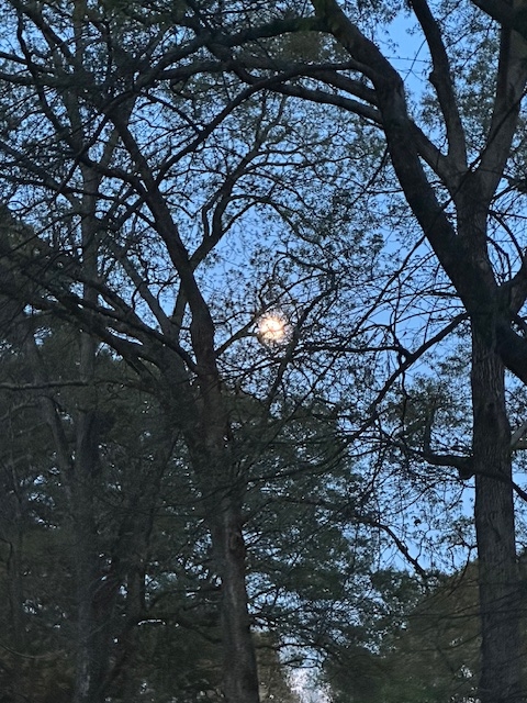 moon