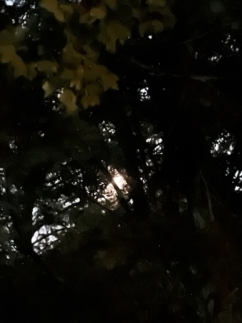moon