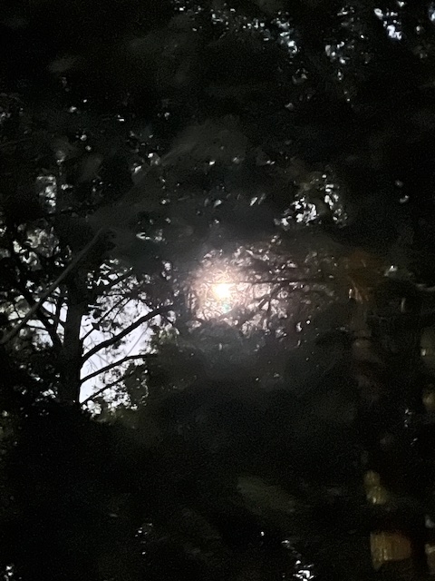 moon