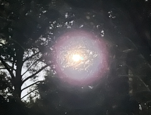 Safe Within Our Circle