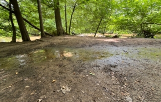 mud